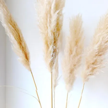 3-zimmer, 70 Qm 3 Minuten Zum Und Zentrum Whg Timme 3 Apartment *