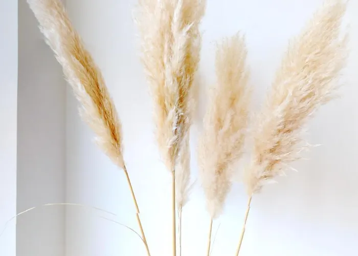 3-zimmer, 70 Qm 3 Minuten Zum Und Zentrum Whg Timme 3 Apartman *